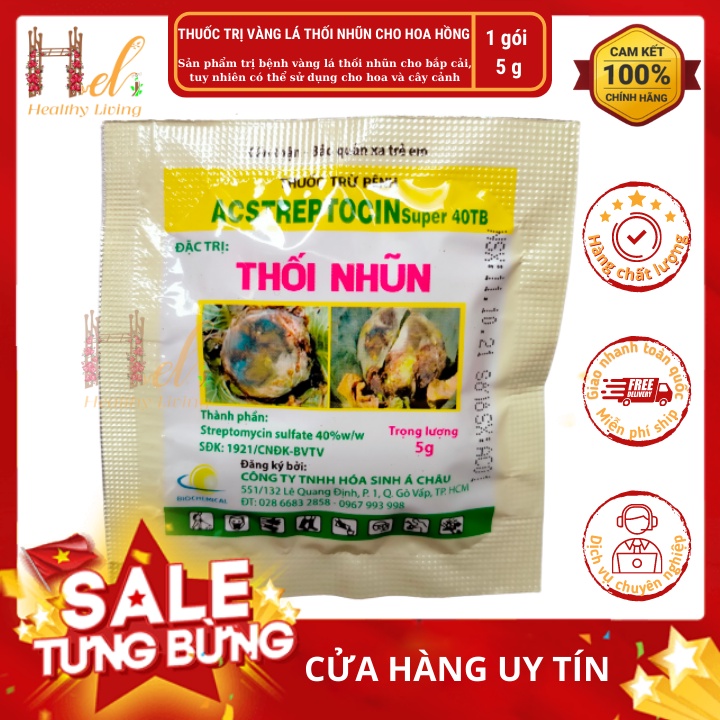 Thuốc Trị Thối Nhũn Vàng Lá Hoa Hồng