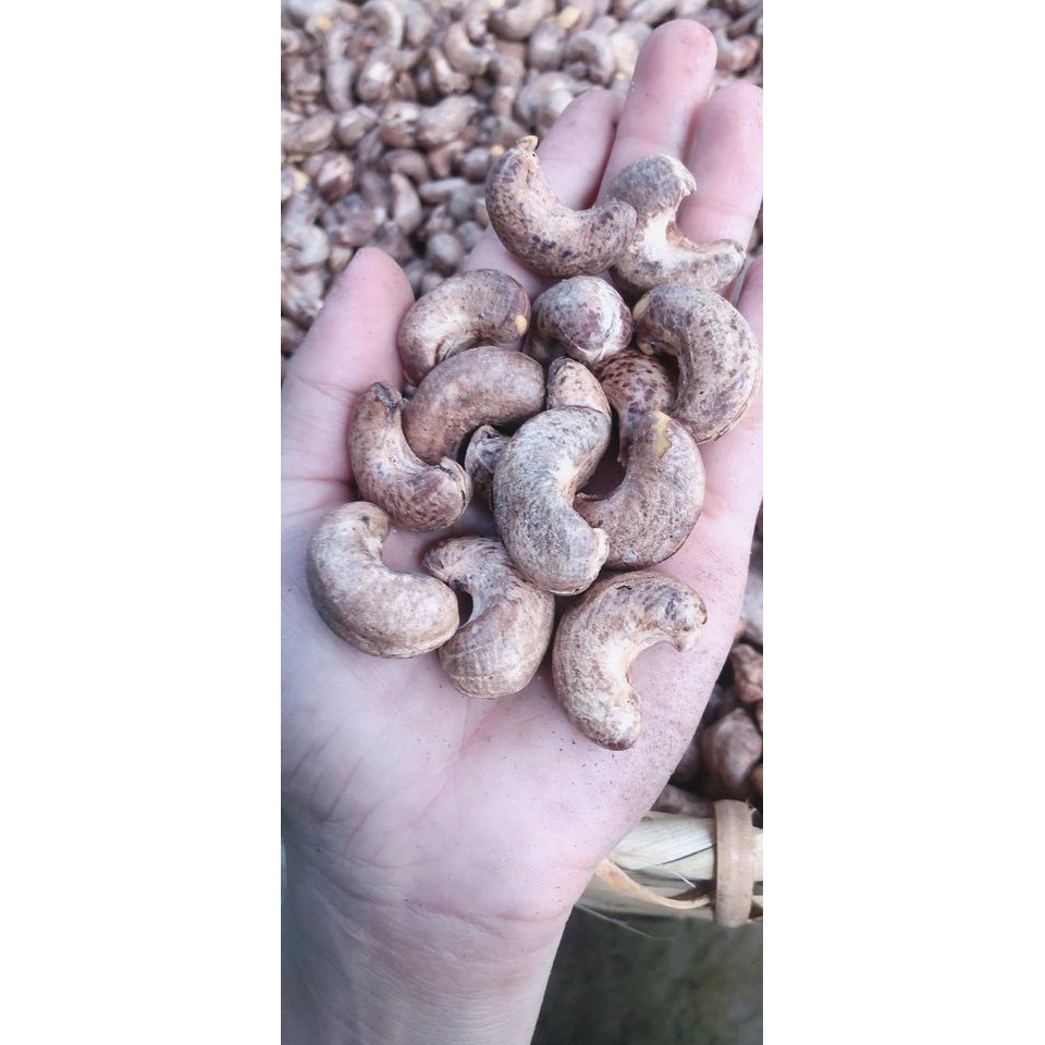 HẠT ĐIỀU RANG MUỐI BÌNH PHƯỚC LOẠI 1