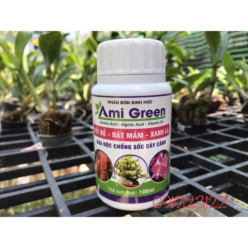 Phân bón sinh học Ami Green phục hồi cây sau ra hoa, tốt rễ bật mầm xanh lá