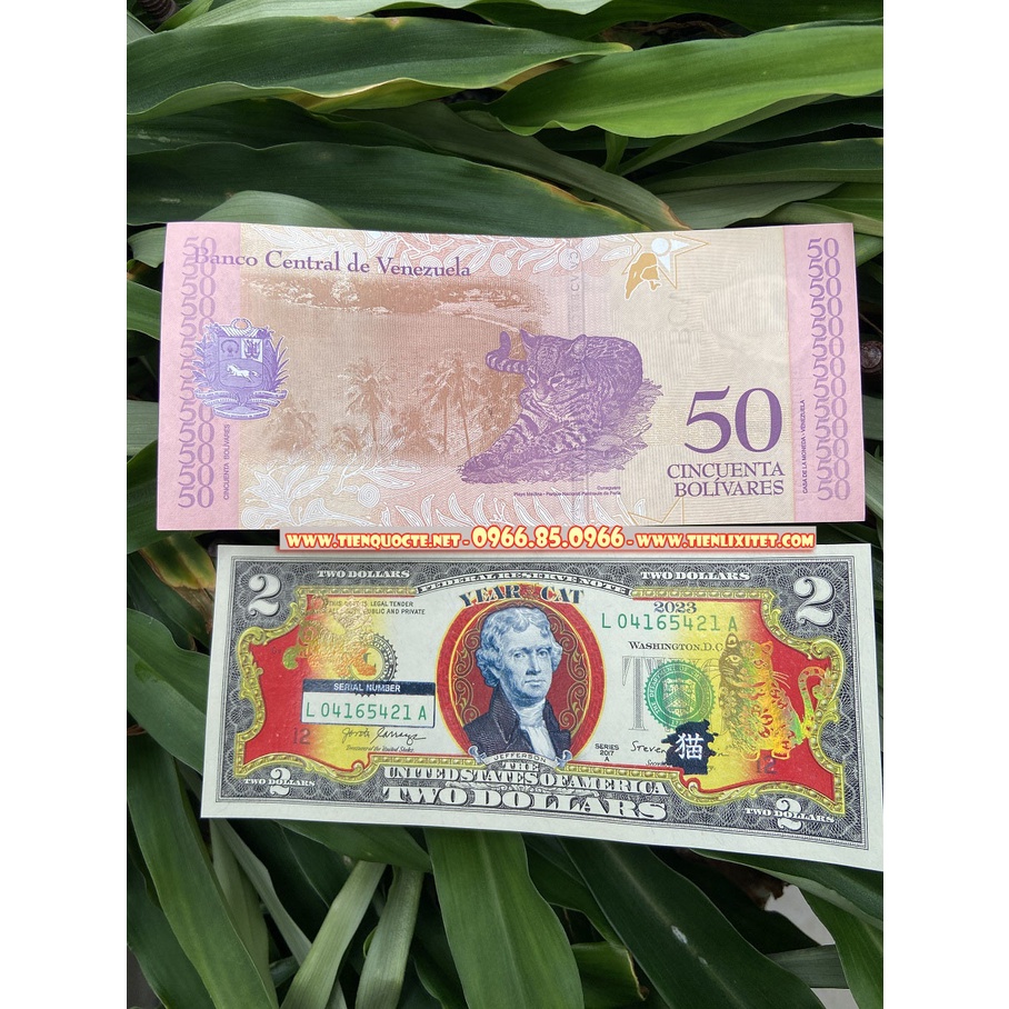COMBO 2 món gồm 2 USD Hình Con mèo Mạ và.ng 2023 và tờ con mèo Venezuela May Mắn Tài Lộc, Quà tặng phong thủy Tết