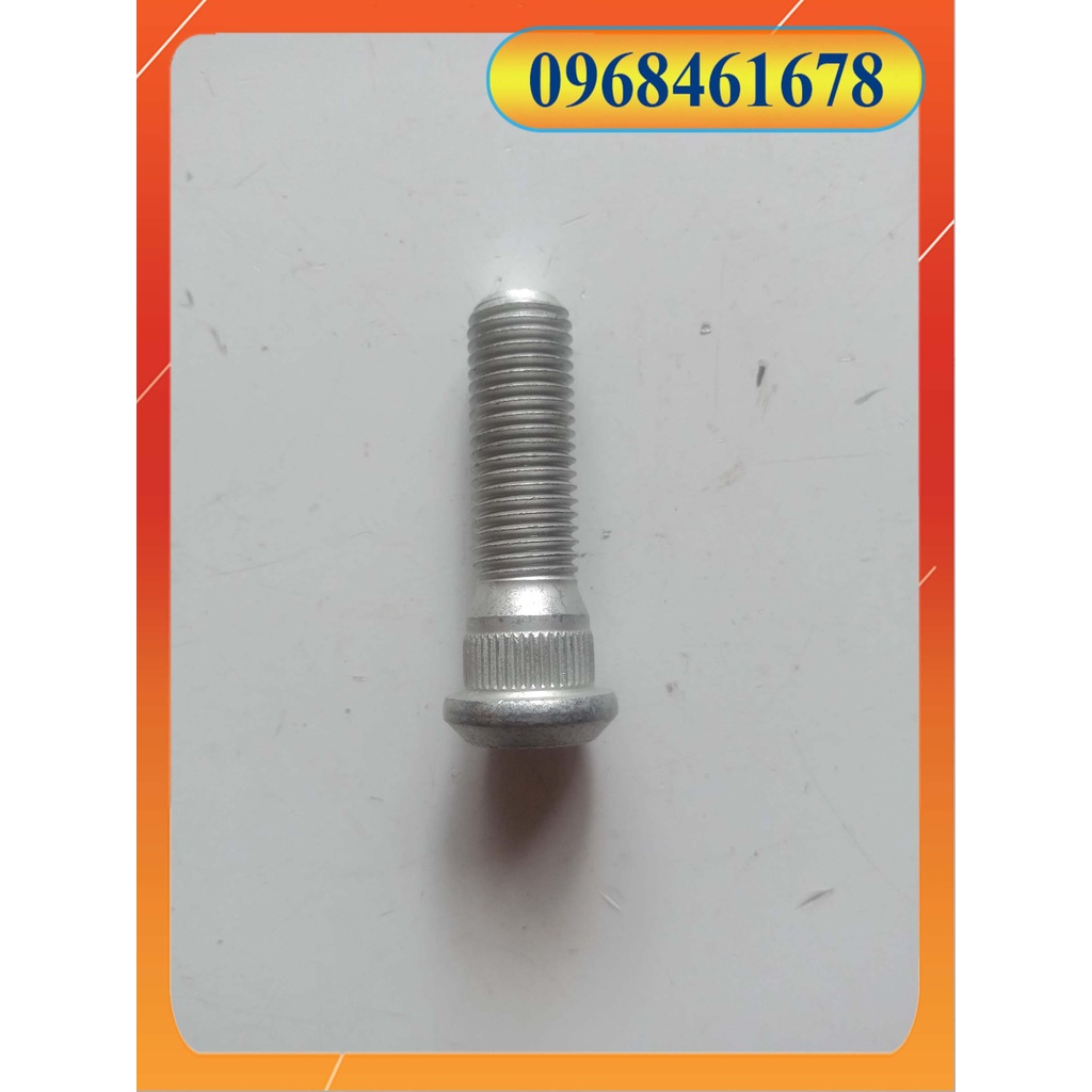 BU LÔNG TẮC KÊ INNOVA