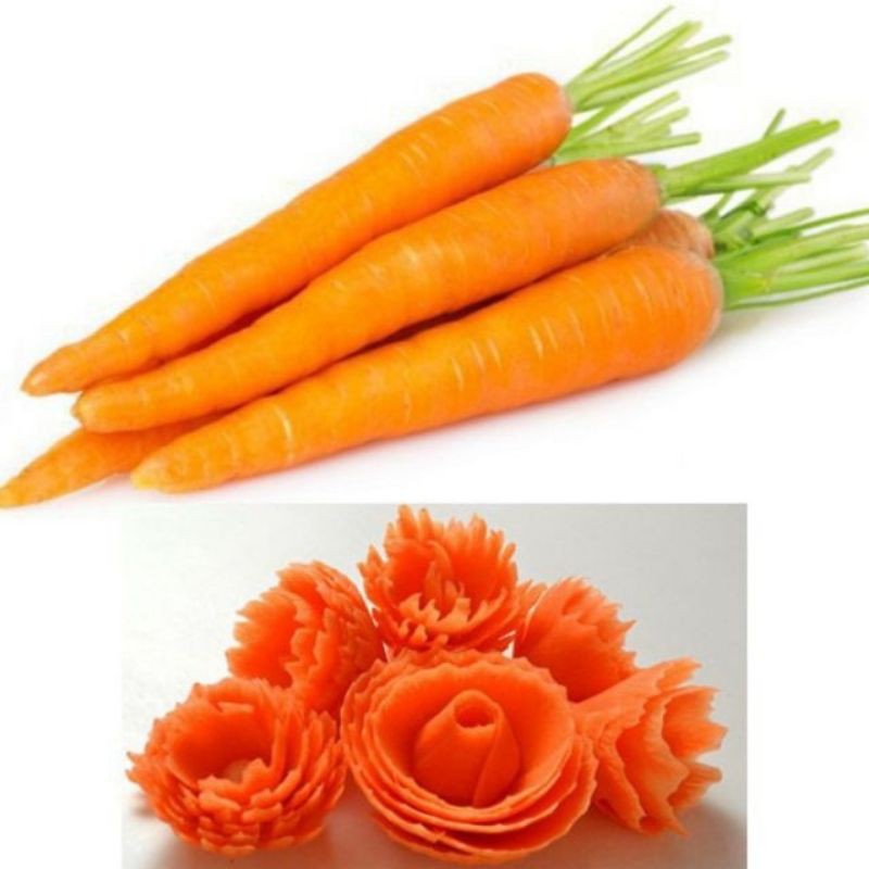 Xoáy hoa cà rốt