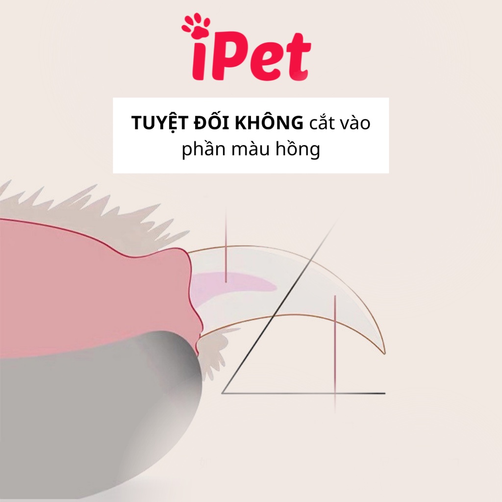 Bộ Kềm Cắt Dũa Móng Thú Nuôi Thú Cưng Chó Mèo - iPet Shop