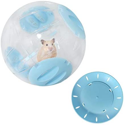 banh chạy mika không đế size trung - lớn - big size  cho hamster robo-camp-ww-bear - nhím