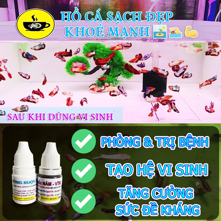 Ống trữ Artemia 15ml 🐠 Nắp màu Xanh hoặc Cam