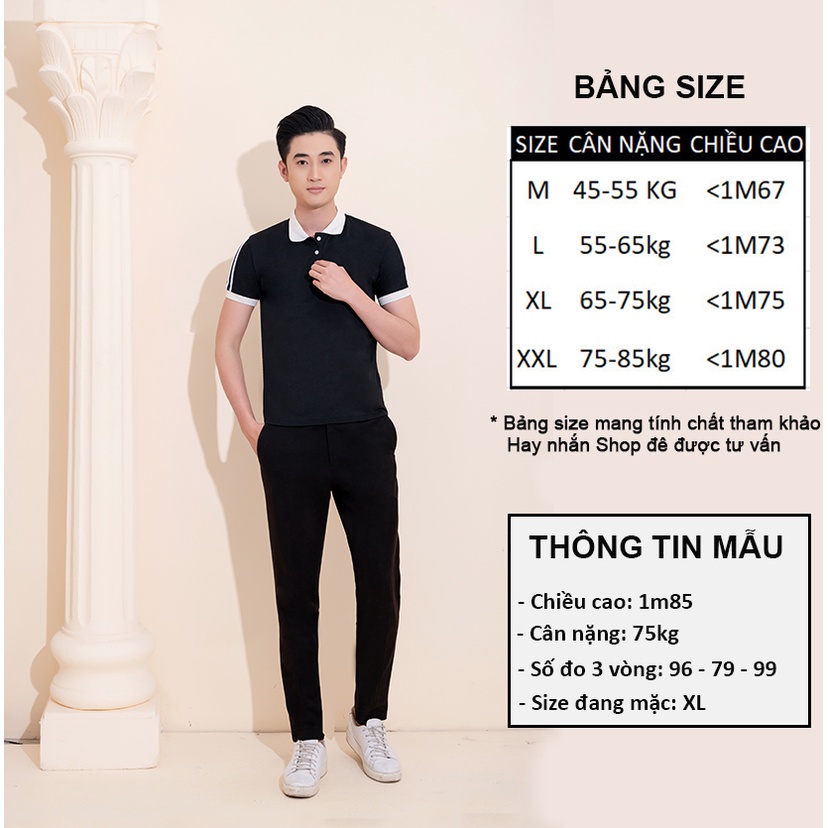 Áo polo nam, Áo thun nam có cổ viền sọc phong cách thể thao chất liệu cotton cá sấu cao cấp