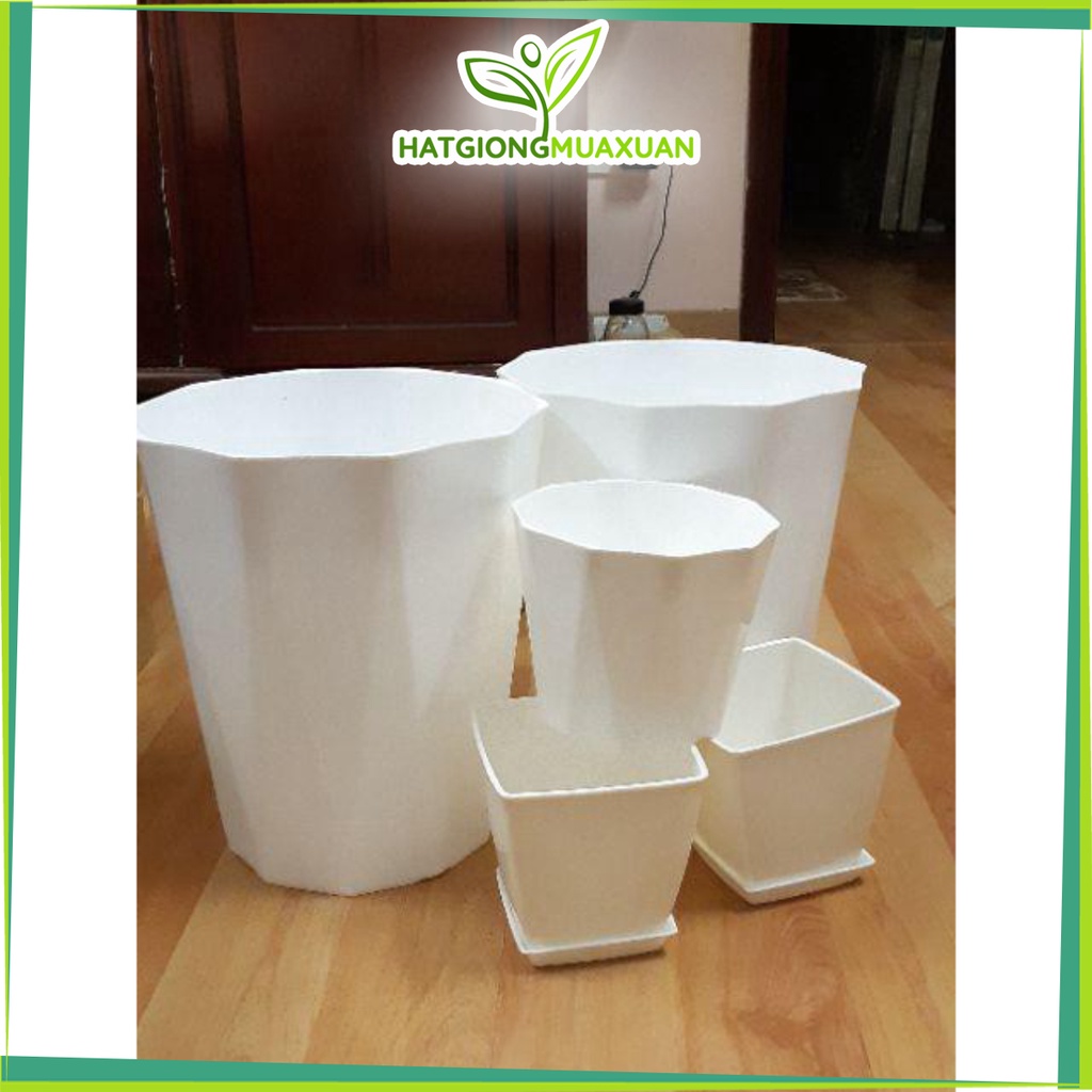 [HOT] combo 2 chậu nhựa kim cương trồng cây đường kính 30cm c/lượng, hg C/ty.