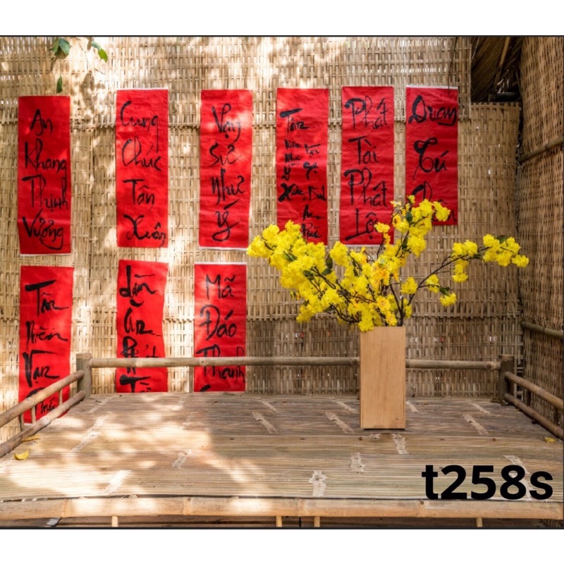 Phông nền chụp ảnh mã T258