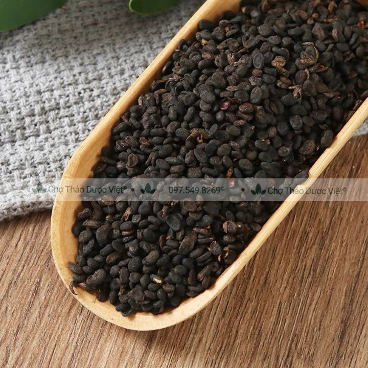 Phá Cố Chỉ 500g (Bổ Cốt Chỉ)