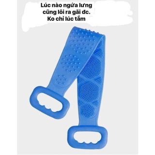 kỳ lưng silico