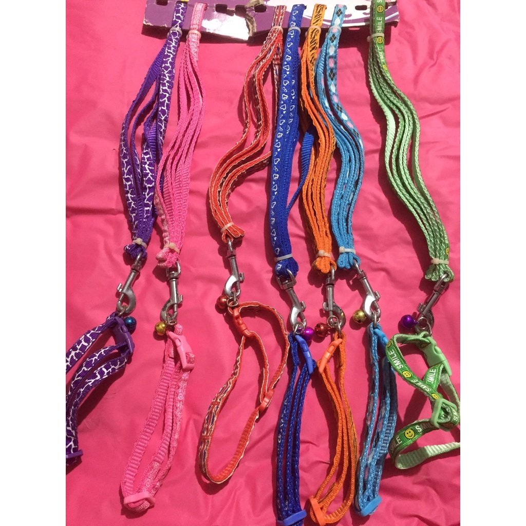 Dây dắt thú cưng chó mèo 1cm kèm vòng cổ có chuông