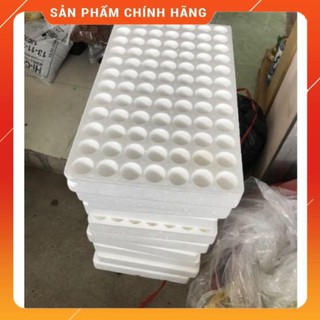 Khay xốp ươm hạt 84 lỗ