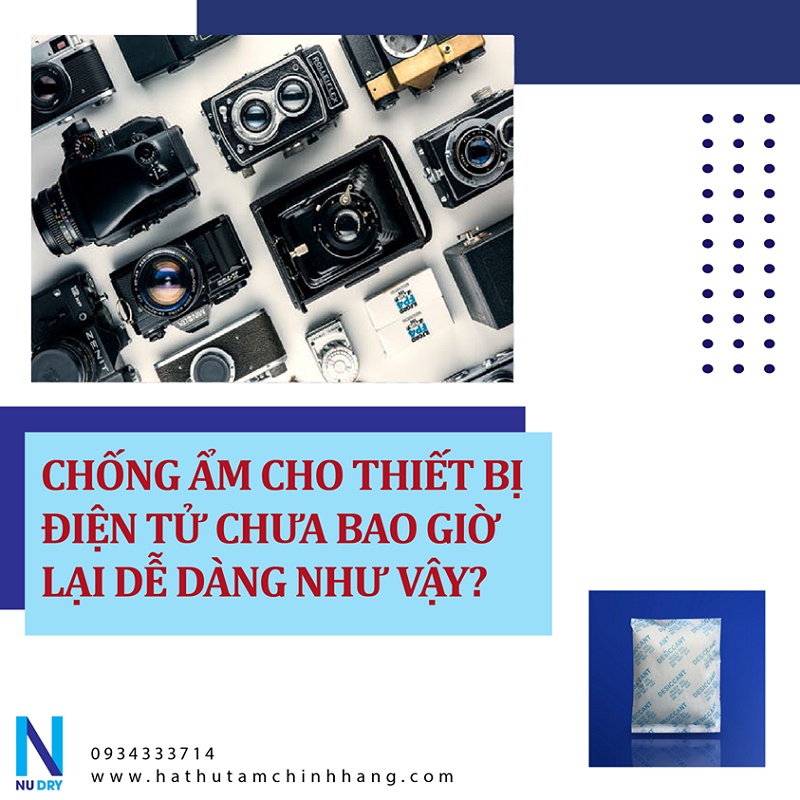 Túi hút ẩm silica gel 100 Gr hạt hút ẩm cho Thưc phẩm Quần áo Giày dép Máy ảnh Phòng Ngủ - NUDRY