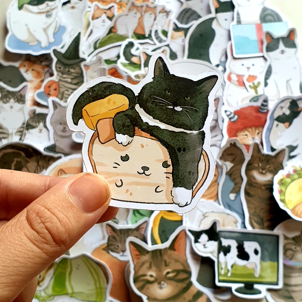 Sticker hình dán mèo meme hài hước vui nhộn dễ thương boss và sen pastel trang trí mũ bảo hiểm Laptop journal sổ tay