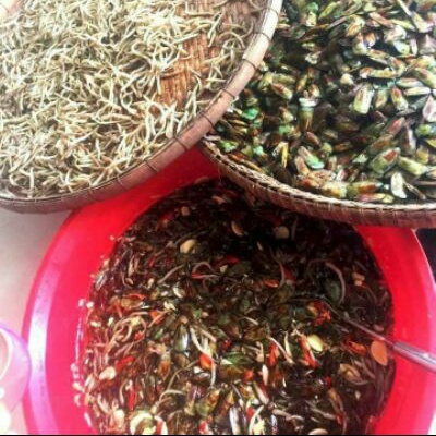 HCM_700g mắm cà xỉu đặc sản Hà Tiên_Phú Quốc