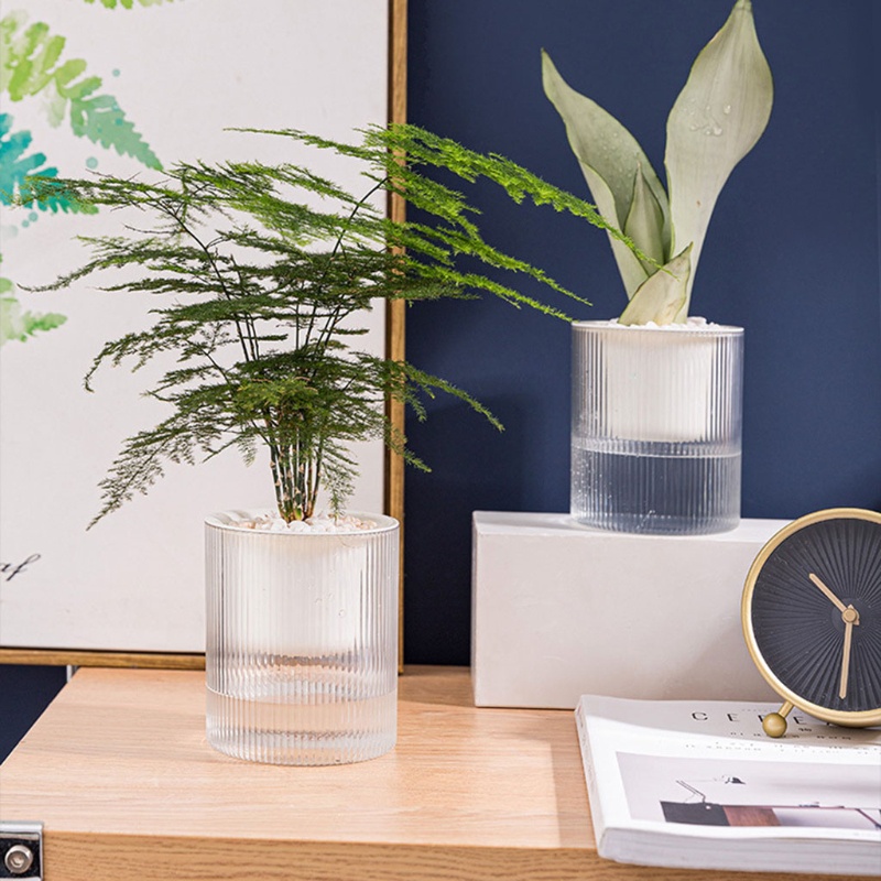 Chậu Nhựa Trồng Cây Thủy Canh 2 Tầng Hình Tròn Màu Trong Suốt Có Dây Thừng