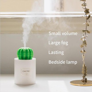 Đèn xông tinh dầu xương rồng Cactus