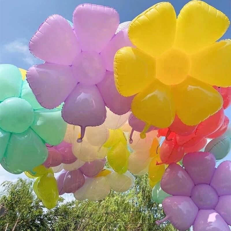 Bóng bông hoa Daisy tông màu pastel siêu xinh- Baby bee