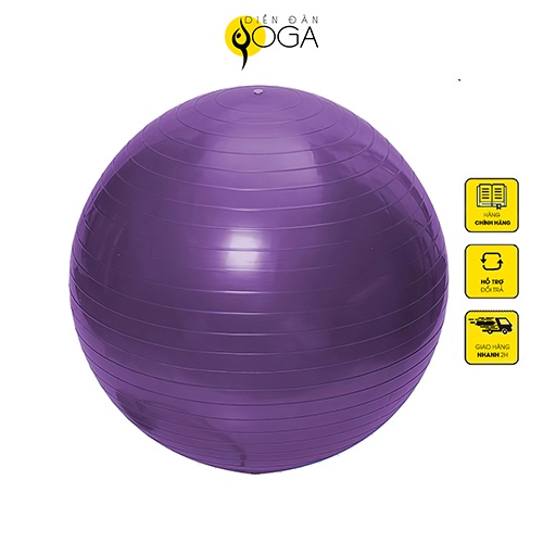 Bóng tập Yoga cao su - Thư viện Yoga - Size 65cm