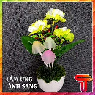 Đèn ngủ cảm ứng kiểu dáng hình nấm sáng tạo Cảm Ứng Tự Động Sáng/Tắt - T3A3