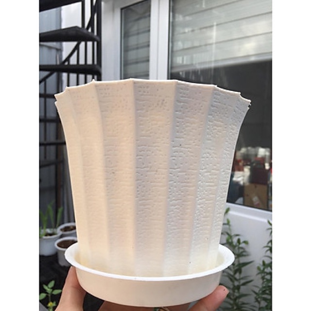 Chậu Hoa, Chậu Nhựa Trồng Cây, chậu để bàn, chậu sọc khía trồng hoa trang tri (size lớn 22cm)