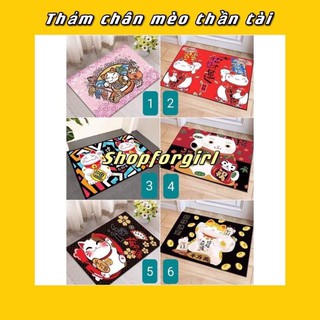CÓ SẴN - Thảm mèo thần tài may mắn nhiều mẫu - Shopforgirl