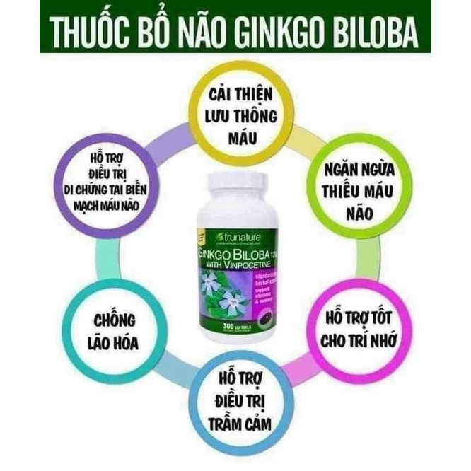 Viên uống bổ não Ginkgo Biloba 120mg lọ 340 viên của mỹ