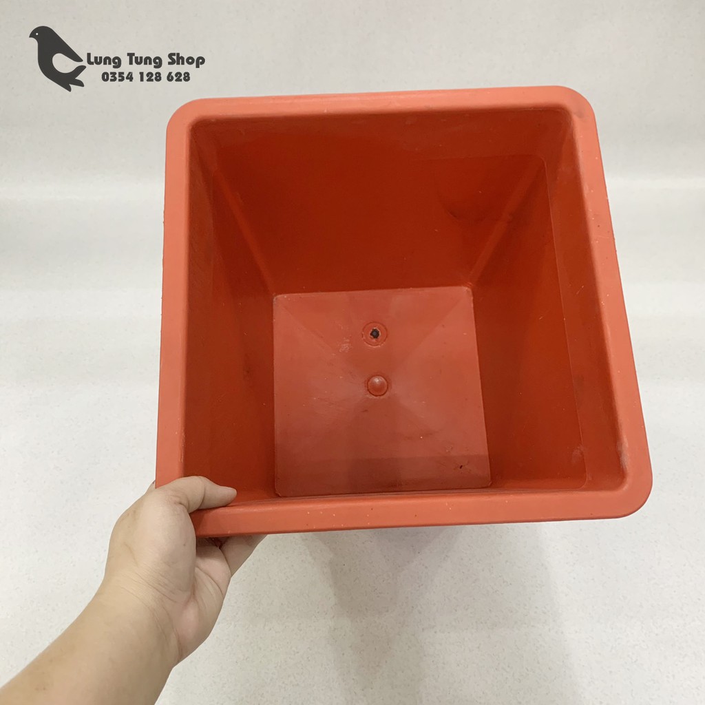 Chậu vuông nhiều màu - trồng cây nuôi cá