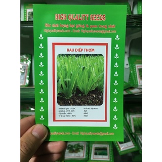 Hạt Giống Rau Diếp Thơm 5gr