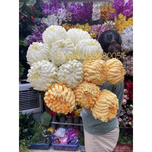 Hoa Cúc mẫu đơn size đại dk hoa 16cm hàng cao cấp