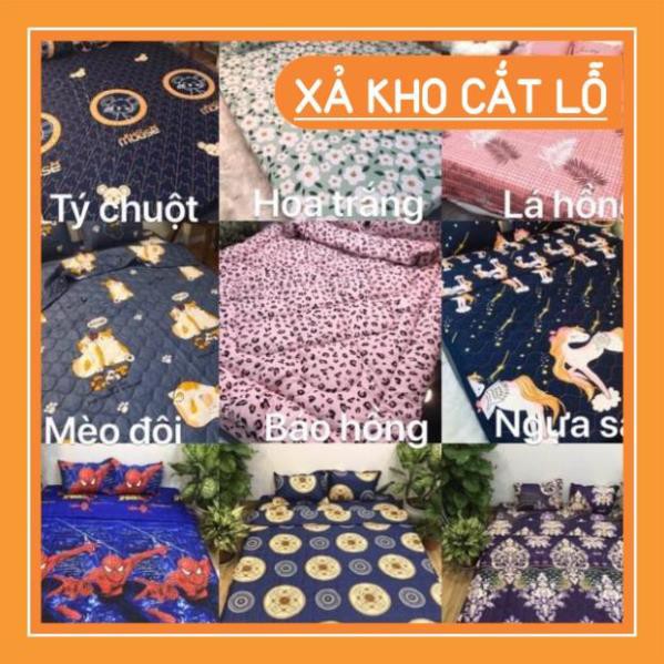 Free Ship50k Bộ 1 Ga chun và 2 vỏ gối Cotton poly, chat chọn mẫu.