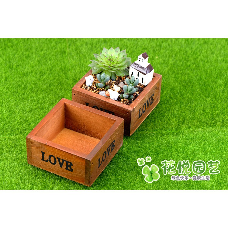 Chậu gỗ trồng cây 10x10x5cm/tiểu cảnh/terrarium