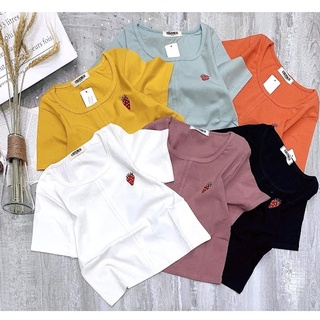 Áo croptop ôm dáng cổ tròn, áo thun nữ vải cotton borib co dãn 4 chiều in thêu hình đẹp