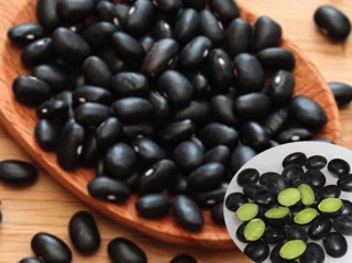 1kg trà đậu đen xanh lòng