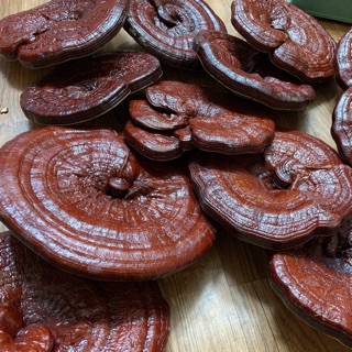 Nấm linh chi đỏ (1000g)