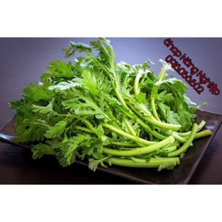 Hạt giống Rau Tần Ô (Cải Cúc). Giống nảy mầm mạnh, phát triển tốt, ăn ngon ngọt.