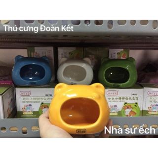 Nhà sứ ếch nhỏ vừa hamster đuôi mập