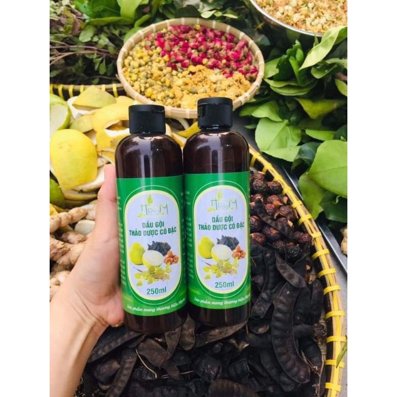 Dầu gội thảo dược