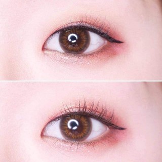Mascara Innisfree Skinny Microcara Zero New