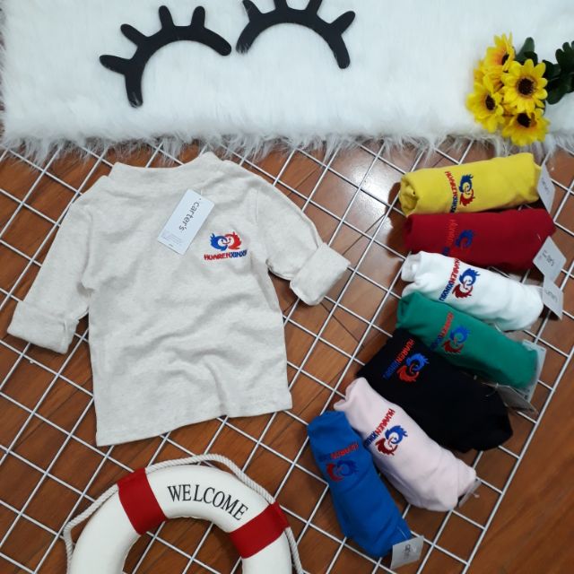Áo cton len