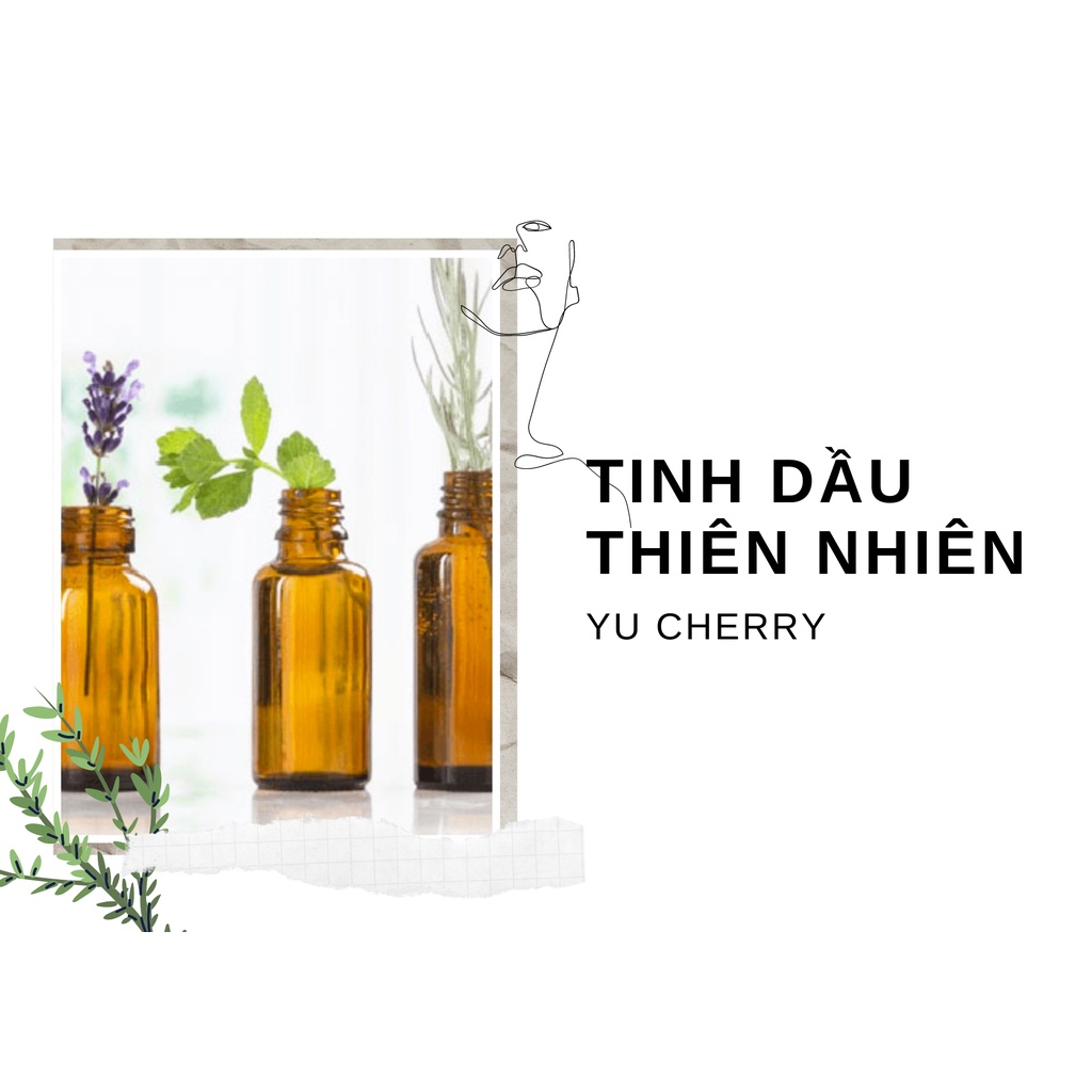 YUCHERRY | Tinh Dầu Hoắc Hương Thiên Nhiên 10ml