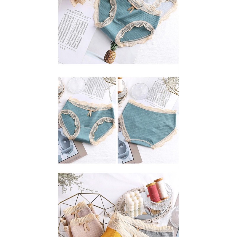 Quần Cotton Phối Ren Cao Cấp 257