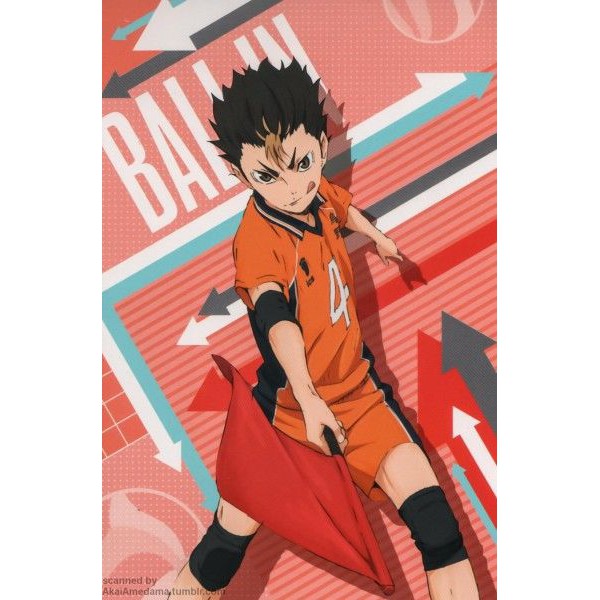 Tấm Poster in hình HAIKYUU!! VUA BÓNG CHUYỀN nhiều mẫu cao cấp giấy 260gsm anime chibi