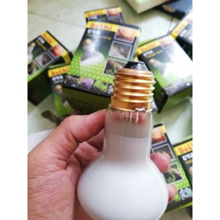 Đèn sưởi ngày cho bò sát UVA