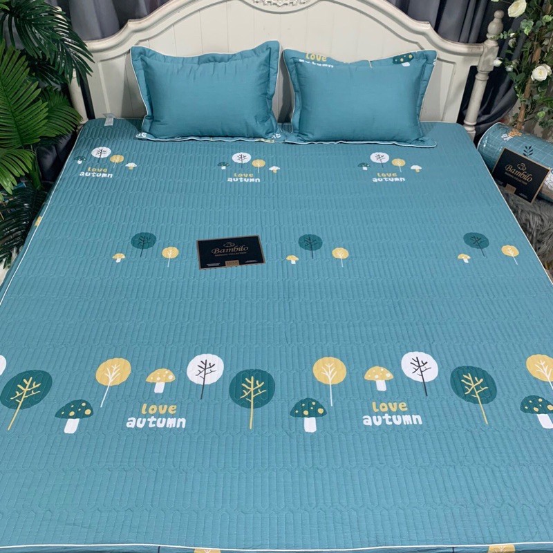 Set Ga Cotton Chun Trần Bông Bambiloo Cao Cấp Kèm Hai Vỏ Gối | BigBuy360 - bigbuy360.vn