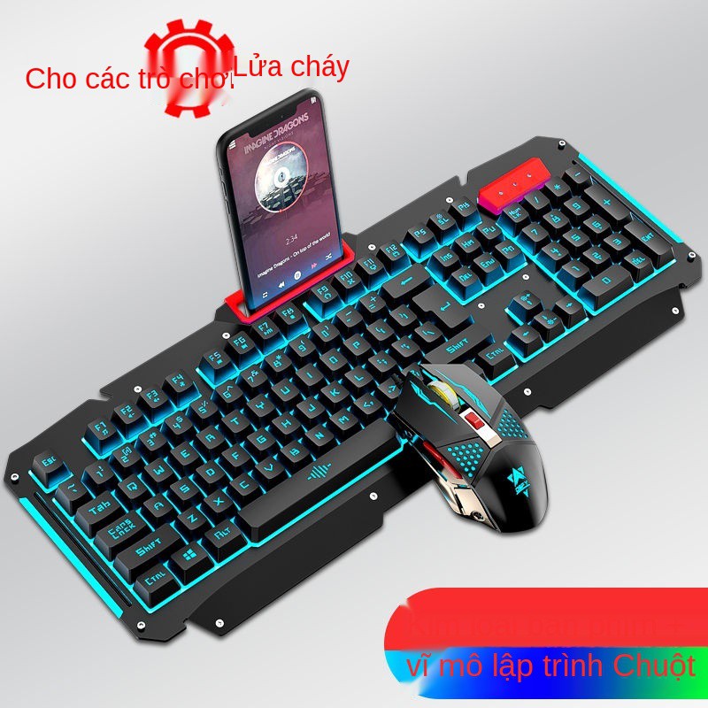 Bàn phím cơ Ruyi Bird Cảm nhận Máy tính xách tay Chơi game và Chuột có dây Chicken Bộ Phát sáng <