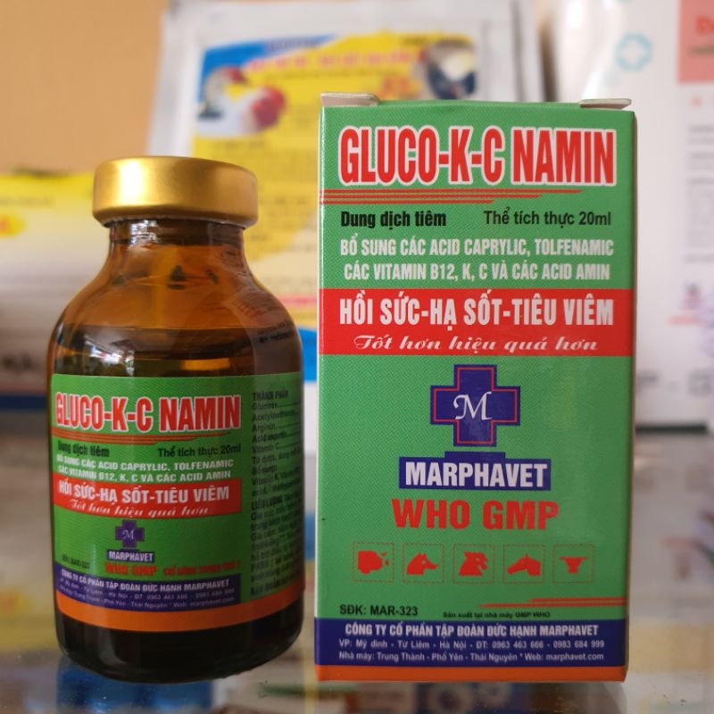 GLUCO KC NAMIN hồi sức, hạ sốt, tiêu viêm