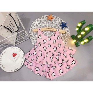 Set com bo Bộ vải lanh nữ + Váy lanh Peggi