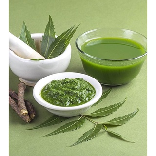 Combo dùng thử mặt nạ sữa ong chúa + lá neem ấn độ tặng kèm muỗng gỗ