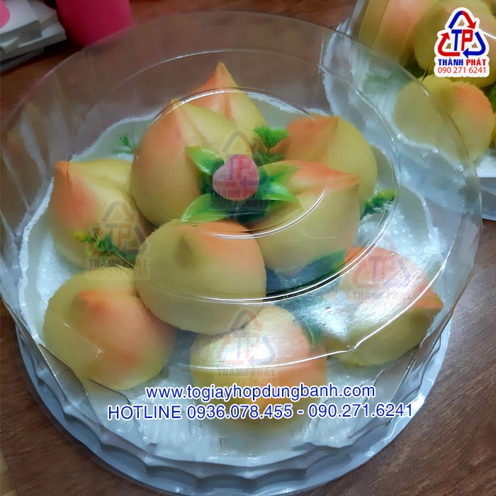 25 Hộp H40 đựng bánh bông lan 25cm - Hộp đựng rau câu 3D - Hộp đựng rau câu cá chép